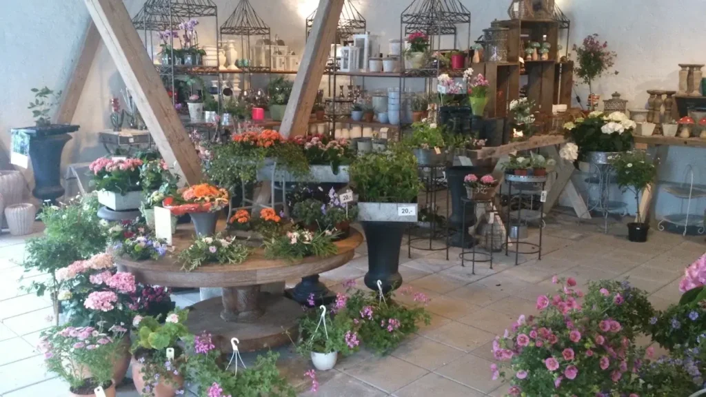 Blomster og planter i butikken